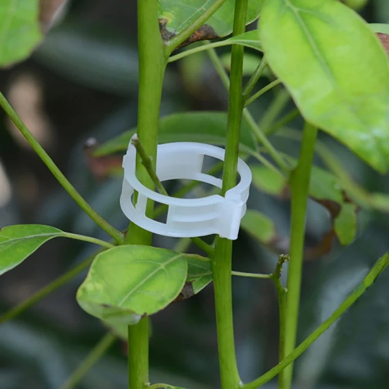 

23mm Plant Support White Greenhouse Accessory Garden About 50pcs Hanging Vine Clip Plastic Plant Clips Vegetables Tomato Clips