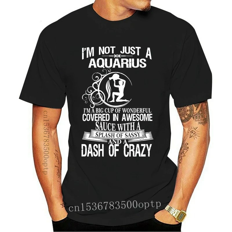 

New Cool Shirts Crew Neck Short Sleeve Christmas Zodiac Signs Sassy Aquarius Humor Shirt