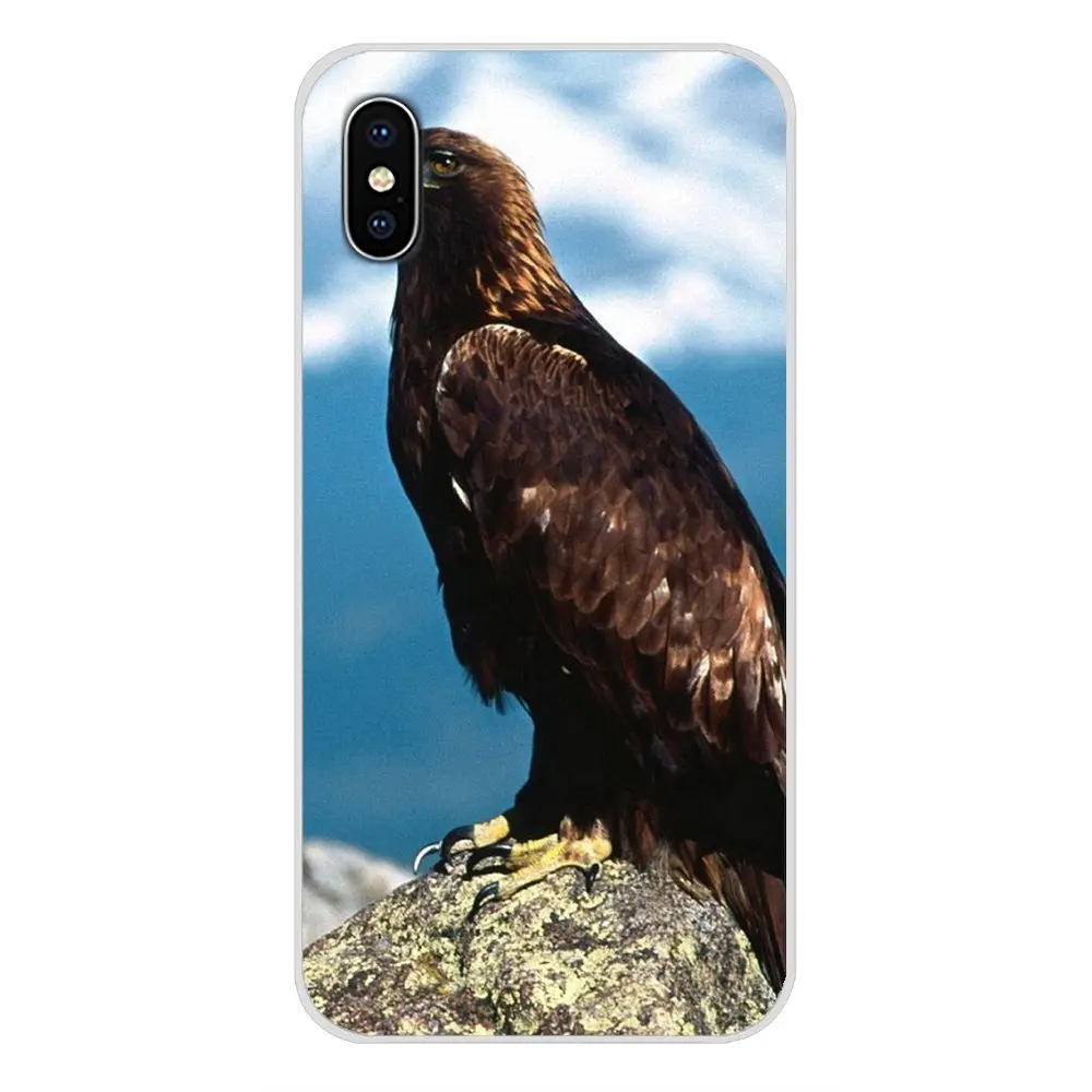King of birds eagle hawk аксессуары чехлы для телефонов Samsung Galaxy J1 J2 J3 J4 J5 J6 J7 J8 Plus 2018 Prime 2015 2016