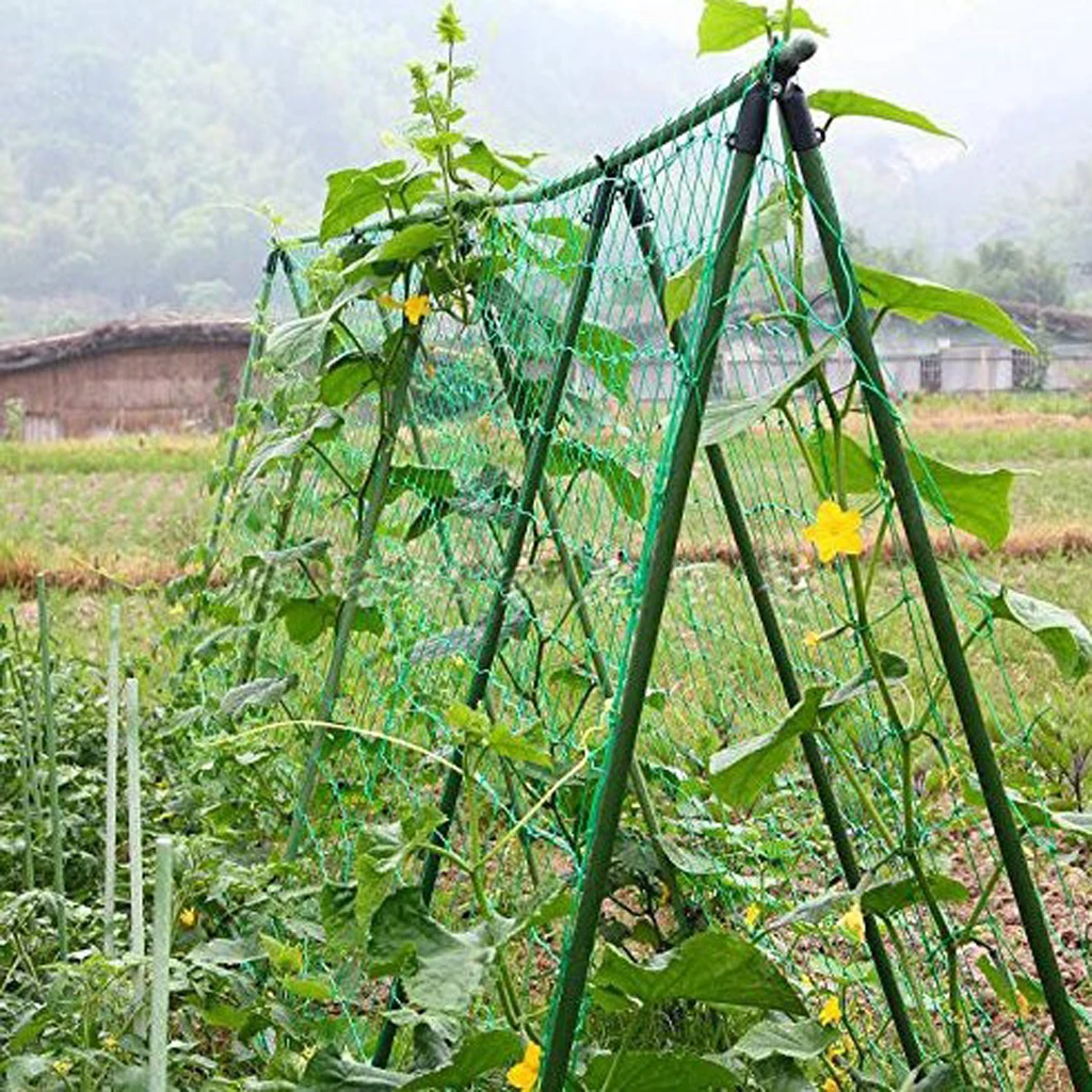 

Garden Fence Nylon Climbing Plant Netting Support Vine And Veggie Fruit Plant Trellis Net Convenient 180x90cm / 180x270cm