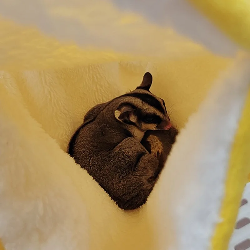 Теплый Гамак для хомяка крыса искусственный дом белка морская свинка