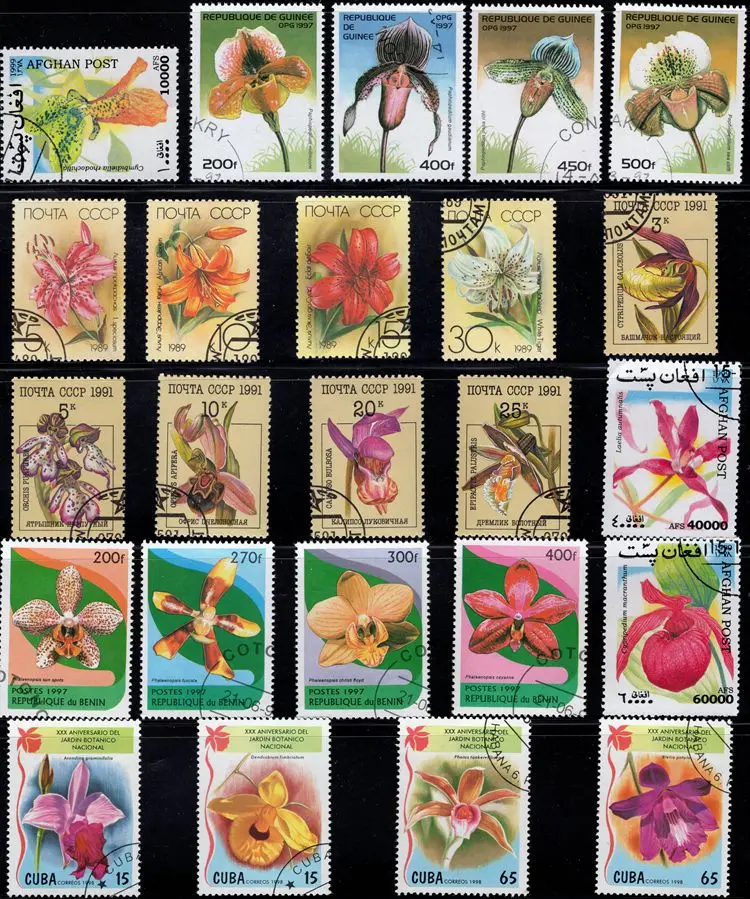 50 шт./лот Орхидея печать тема все отличается из многих стран нет повторных