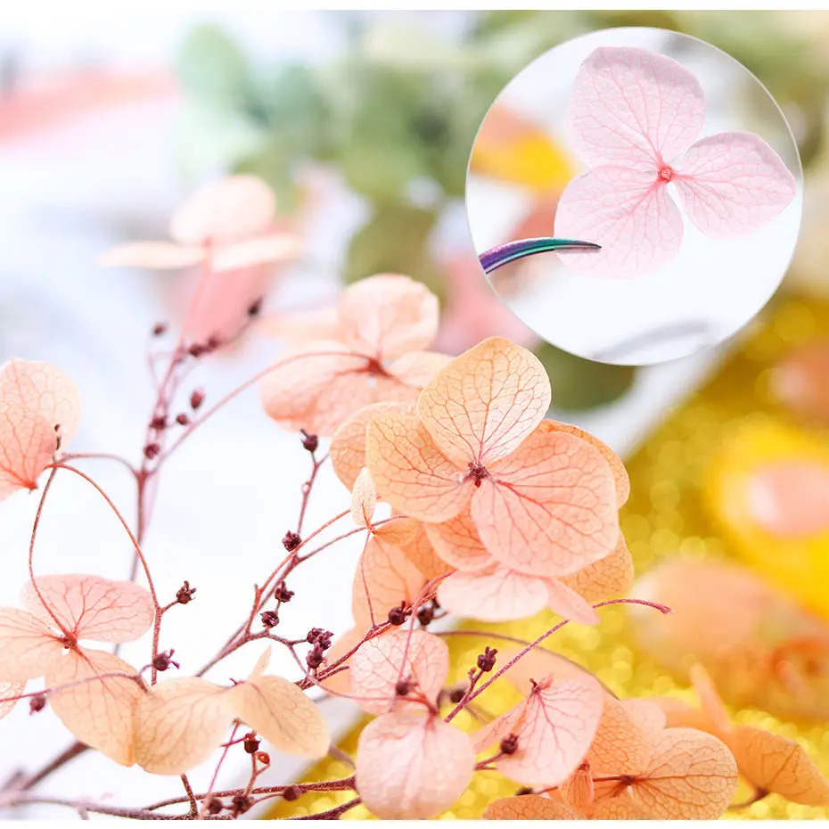 

Nail Dry Nail Jewelry Natural Plant Japanese Immortal Purple Yang Flower 3D Real Dry Flower Nails Art Decoration Dried Flowers