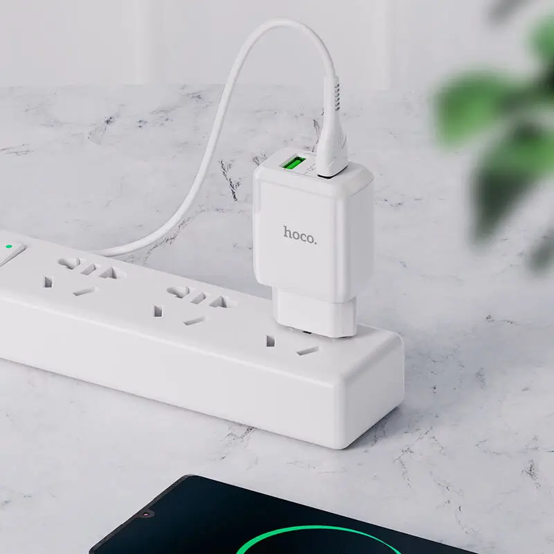 Сетевое зарядное устройство Hoco N6 Charmer два USB 3A выход EU штекер набор с кабелем Type-C