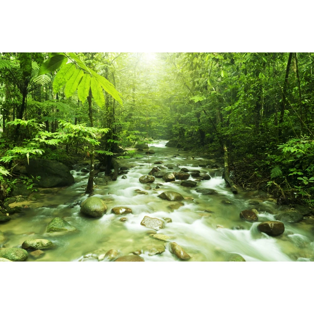 

Summer Tropical Forest Jungle River Green Nature Scenery Baby Birthday Backdrop Vinyl Photography Background For Photo Studio