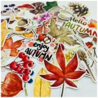 Здравствуйте, осенняя серия, дневник дневника, альбом, дневник, счастливый планировщик, декоративные наклейки