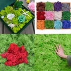 Искусственный Зеленый мох 40 г, искусственный цветок, Зеленый мох, трава сделай сам, цветок для дома, мини-сада, Украшение стен, микро-ландшафтный аксессуар