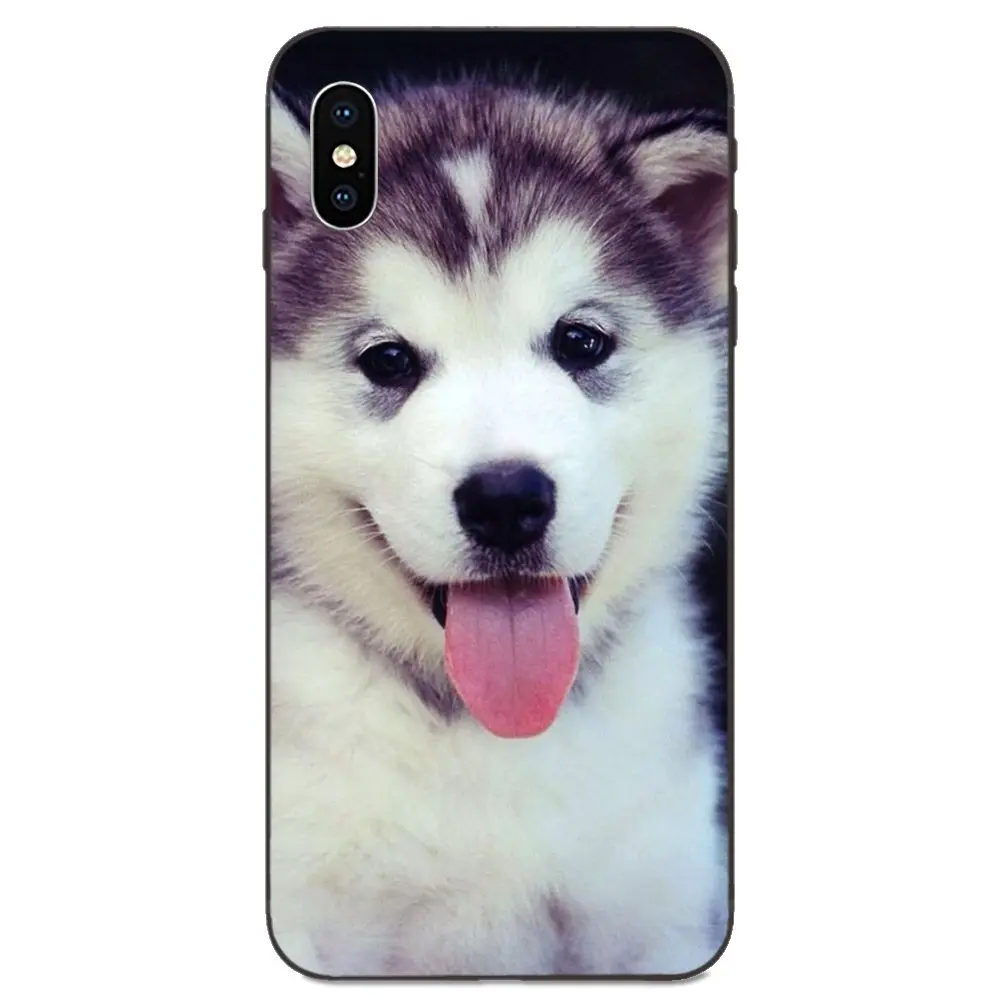 For Huawei nova 2 2S 3i 4 4e 5i Y3 Y5 II Y6 Y7 Y9 Lite Plus Prime Pro 2017 2018 2019 Lovely Alaskan Malamute Siberian Husky Dog | Мобильные