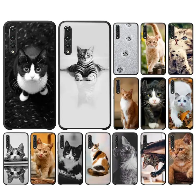 Чехол для телефона LVTLV с милым котом huawei P 8 9 10 20 30 40 pro lite P9 2019|Бамперы| |
