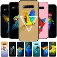 parrot bird black soft cover the pooh for huawei nova 8pro 7 6se 5t 7i 5i 5 4 4e 3 3i 3e 2i pro phone case cases