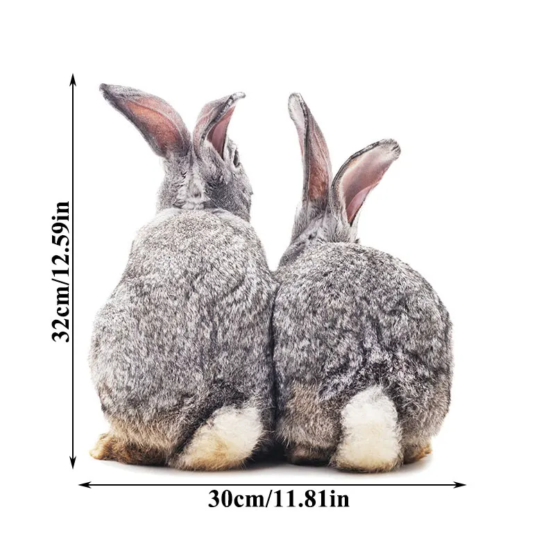 

Cute Kangaroo Bedroom Wall Stickers Bird Home Decor Window Decoration Living Room Sticker Removable Self-adhesive Poster