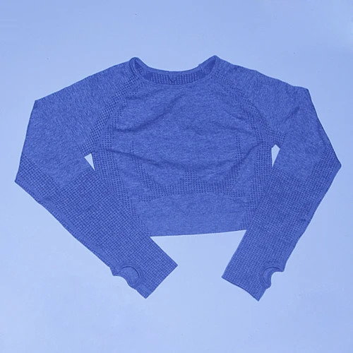 Gray shirts Vital бесшовный спортивный костюм, спортивный комплект, женская одежда для тренировок, бесшовные леггинсы, спортивный бюстгальтер пуш-ап, укороченный топ с длинными рукавами, комплект из 3 предметов для йоги - Цвет: Gray shirts