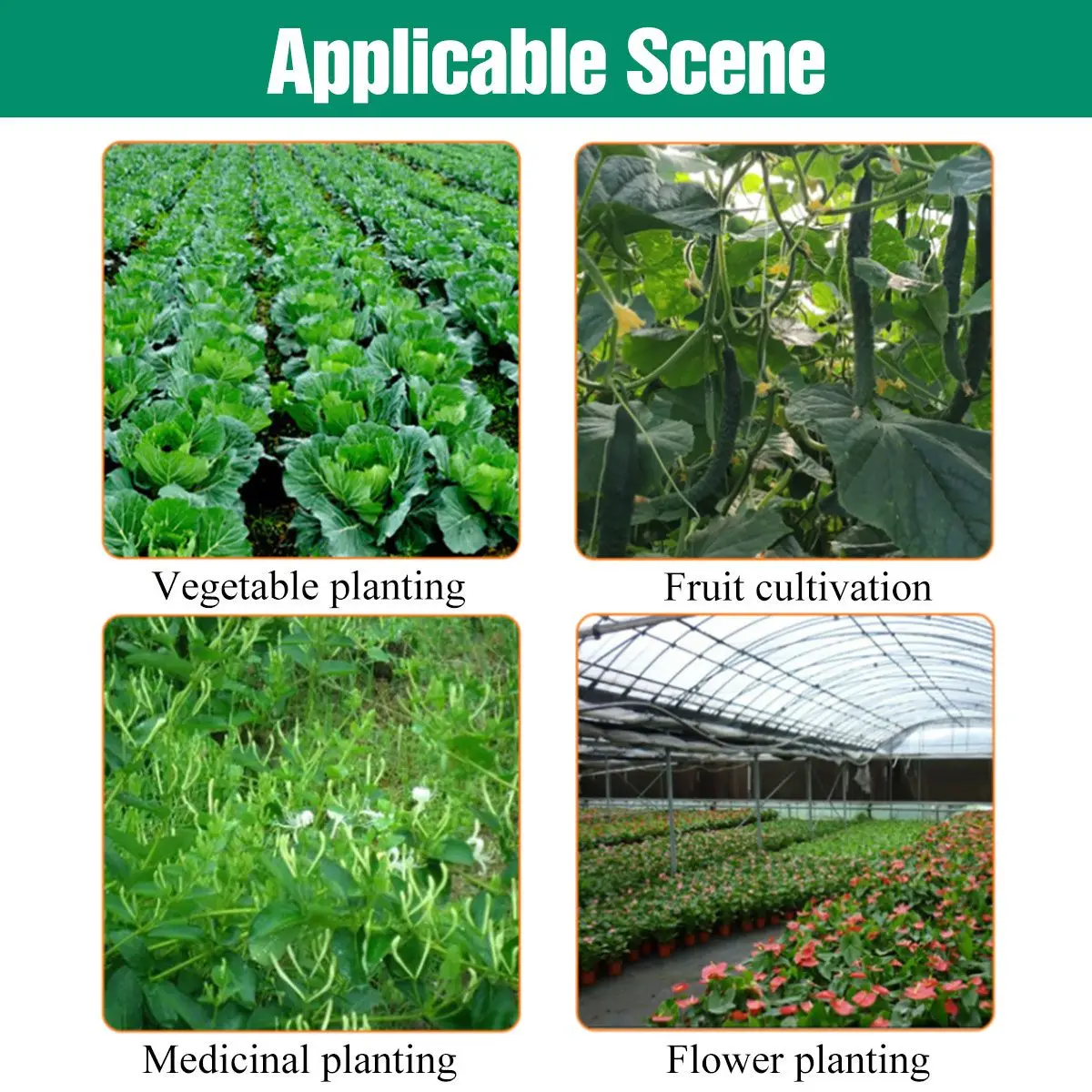 

1x2m 2.5x6m 2.5x10m 60 Mesh Anti Bug Bird Insect Garden Netting Vegetables Crops Fruits Flowers Plant Pond Protect Fine Mesh