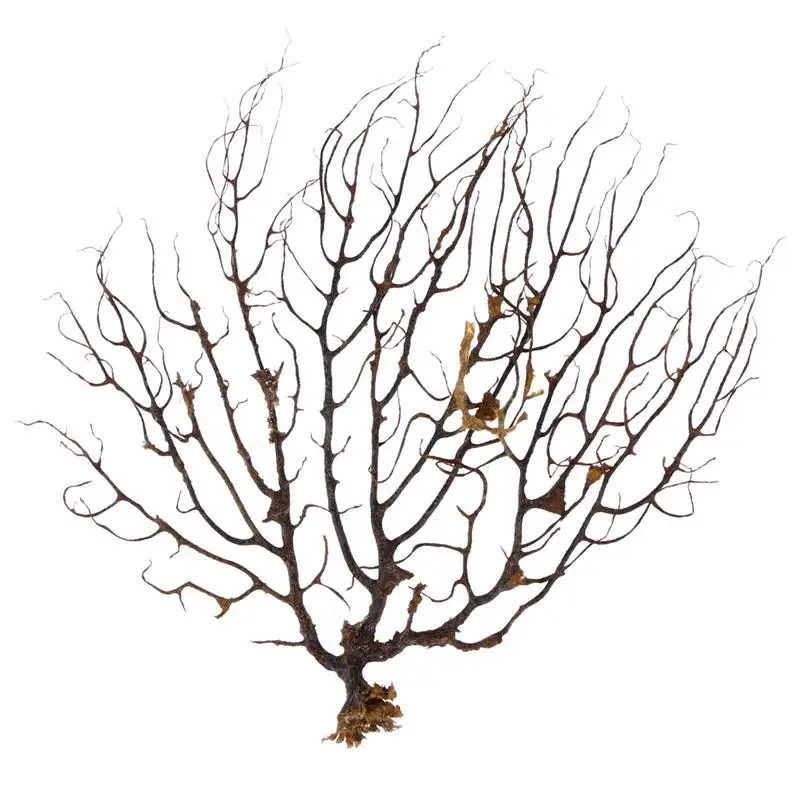 Веер для Черного моря украшение аквариума искусственные растения | Дом и сад