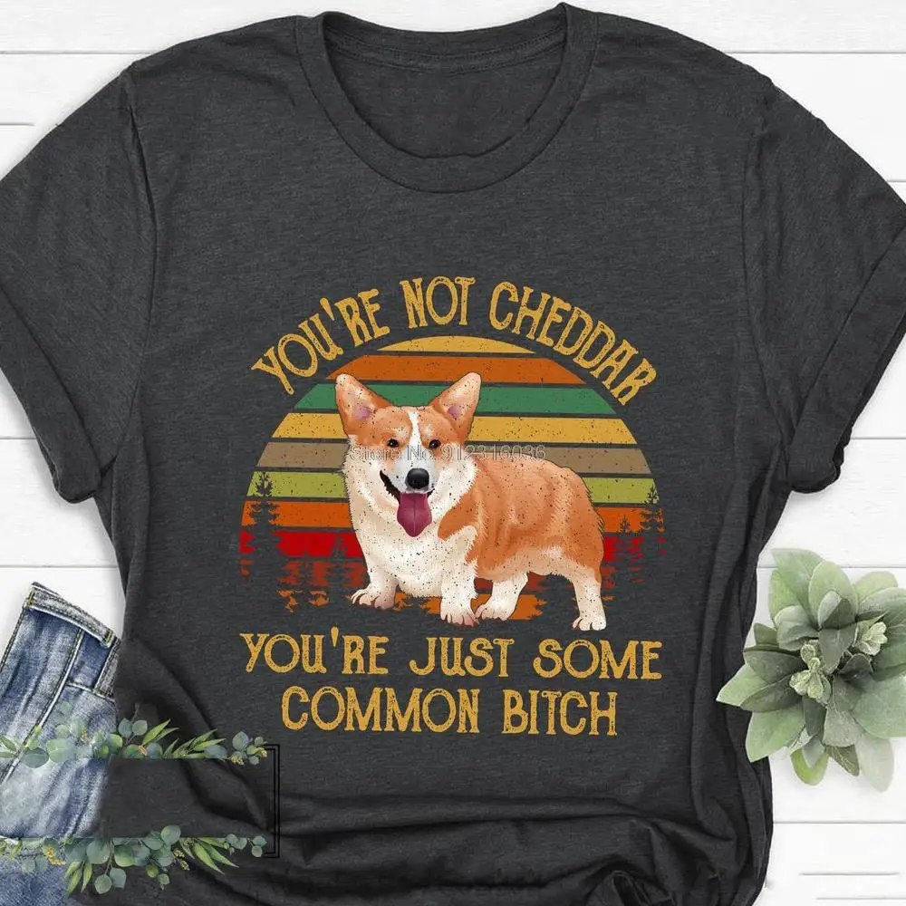 You're Not Cheddar You're Just Some Common B tch Shirt Vintage Corgi Dog T shirt Brooklyn Nine Nine Funny Gift For Men Women