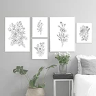 Карандаш для рисования цветов и растений, рисование на холсте, черные и белые растения, ботанические рисунки, картины для декора