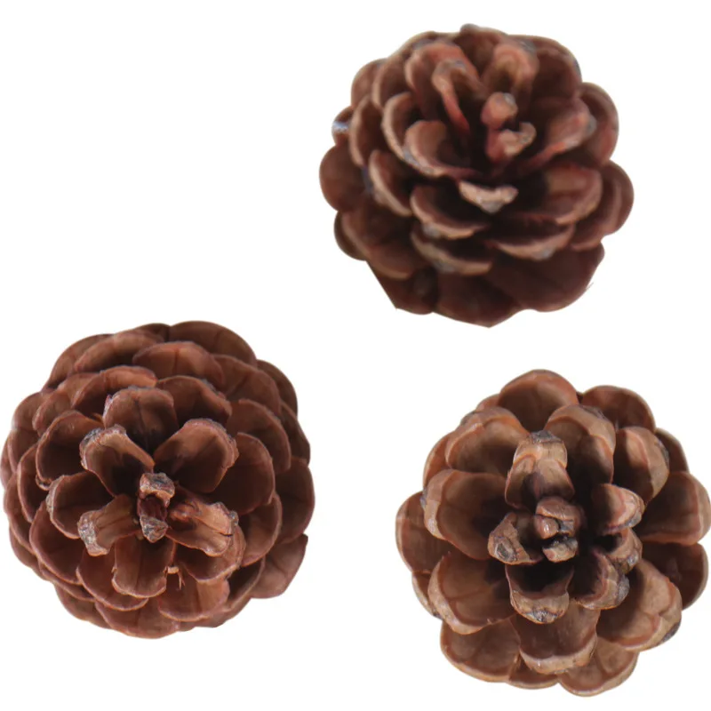 

Natural Pine Cones Shooting Photo Props Dried Flower Decoration Ornaments 3per/bag Or 6per/bag Eternal flower Pine Cones