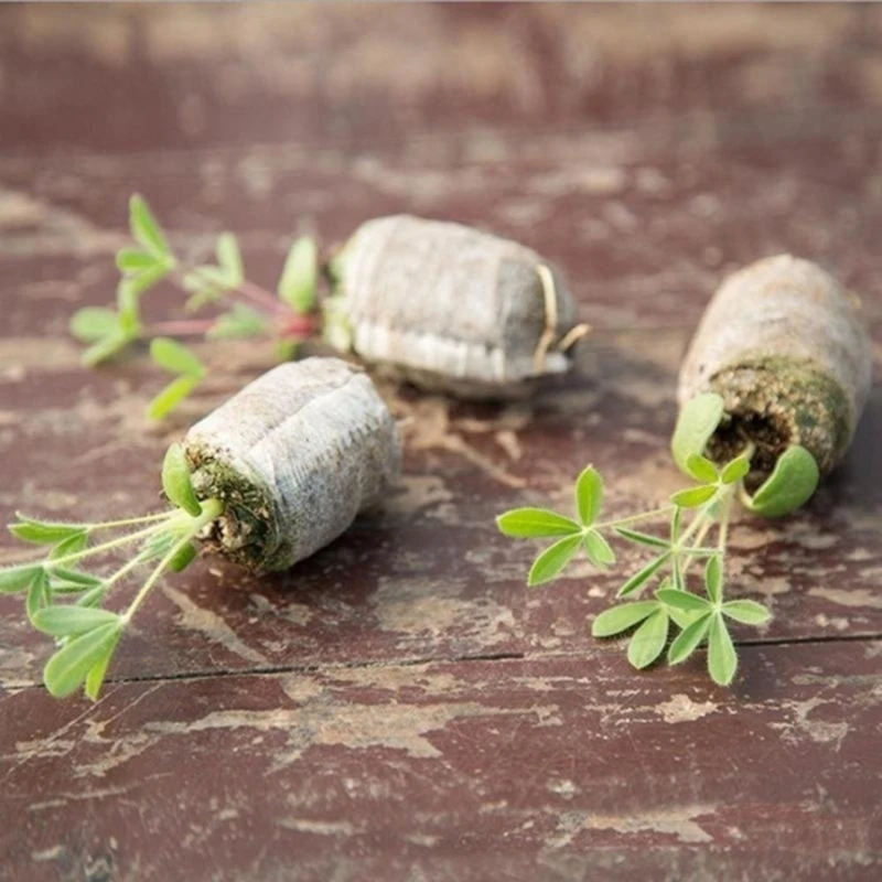 

Peat Pellets Seed Germination Flowers Seeds Starter Pallet Nutrient Substance Planting Seedling Soil Block 10 Pcs