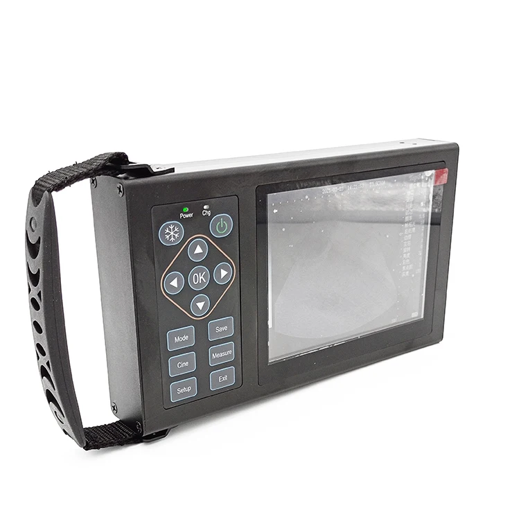 

medical ultrasound instruments Small vet/veterinary ultrasound animals dog/horse usg machine price M10