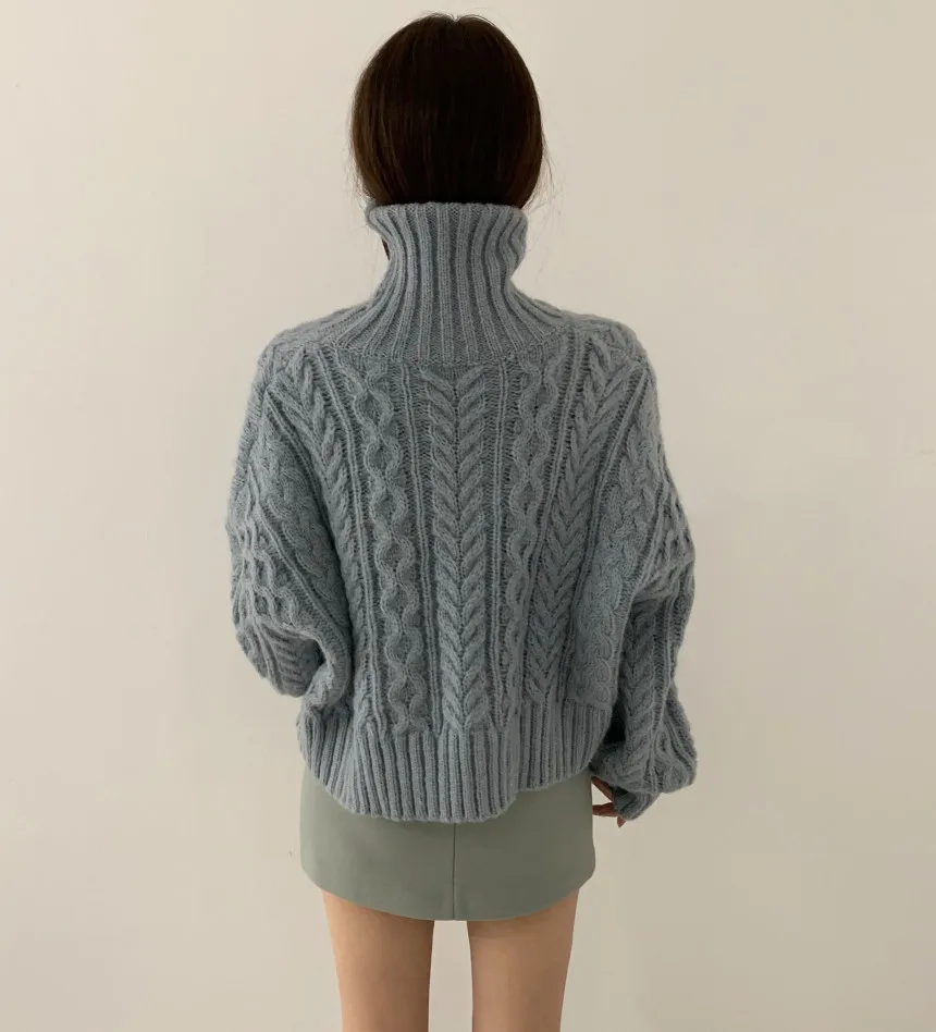 Neploe, Женский пуловер, свитер, водолазка, плотный, длинный рукав, Pull Femme,, зимний, теплый, Ретро стиль, вязанный джемпер, 56075