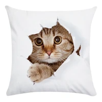 animal cute cat decorative pillows case super soft print cushion cover living room decoration accessories home decor for chair