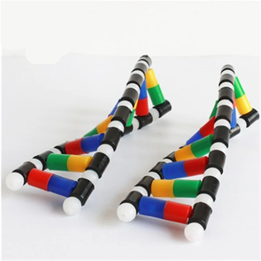 DNA Double Helix Structure Model Education Equipment | Канцтовары для офиса и дома