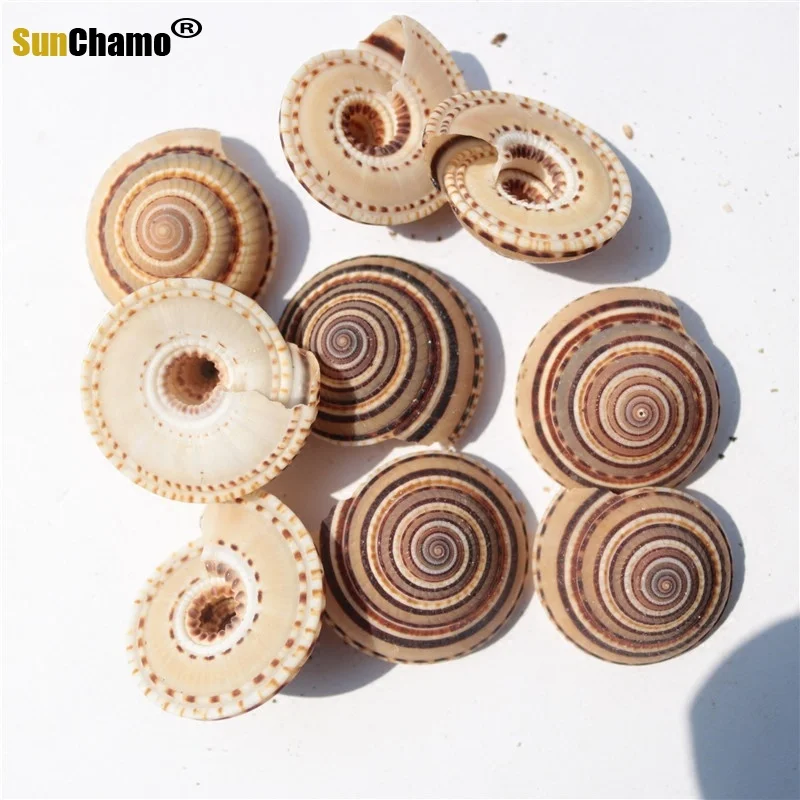 Шляпа из натуральной ракушки соломенная шляпа с черными линиями со спиралью