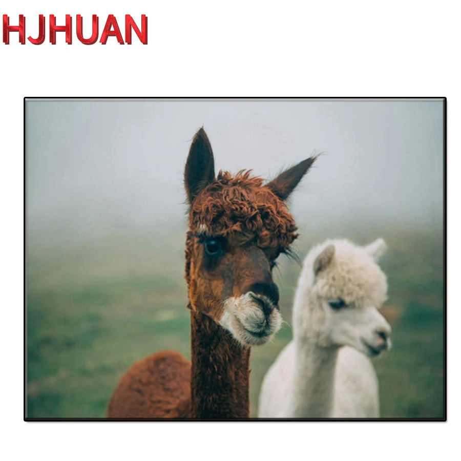 

Алмазная мозаика Стразы «сделай сам», мозаика с изображением животных, альпака, мозаика, украшение для дома, подарок на день рождения