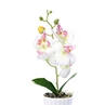 White 3D искусственная Орхидея, Бабочка Цветы Поддельные моли flor Орхидея цветок для дома свадьба DIY Украшение модный домашний декор Свадьба D - Цвет: White