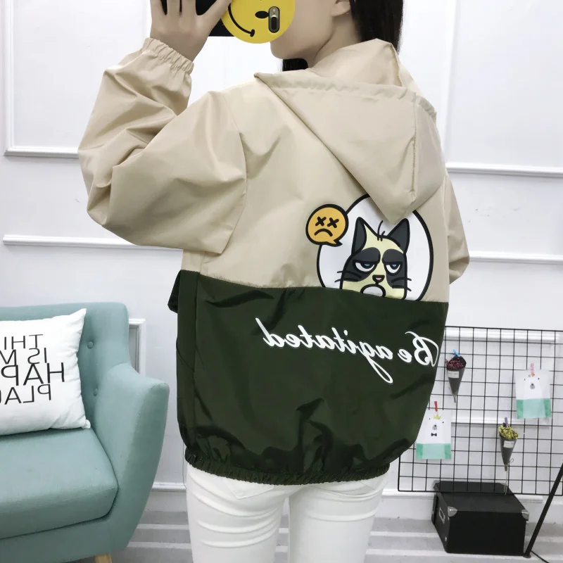 Новинка весна-осень в стиле Харадзюку Корейском с капюшоном колледжа | Женская