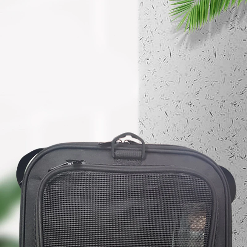 

Cat Carrier, Pet Carrier Pet Carrier Bag Collapsible Dog Carrier for Small Medium Cats Dogs Puppies Kitten
