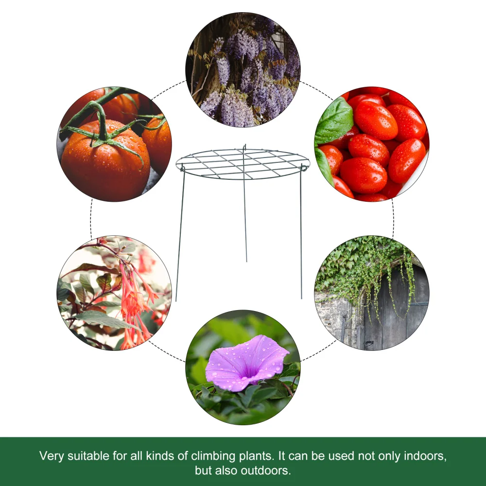 

2pcs Plant Climbing Racks Gardening Plant Vine Racks Plant Fixing Shelves