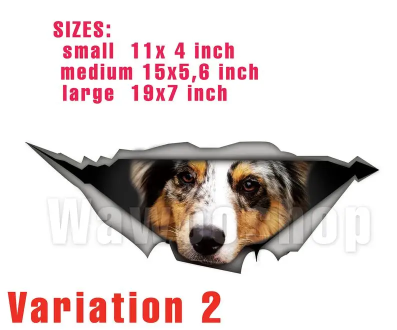 

2021 Australian Shepherd car decal, Aussie decal, car decoration, pet decal