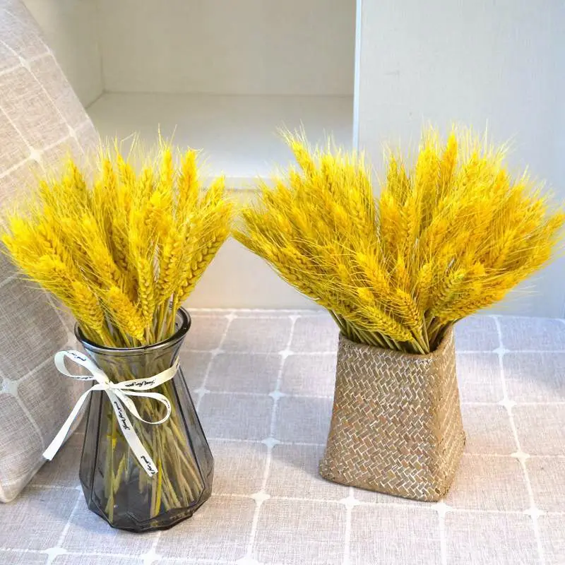 

30pcs Dry Flower Real Wheat Ear Decoration Natural Pampas Rabbit Tail Grass For Wedding DIY Garten Dekoration