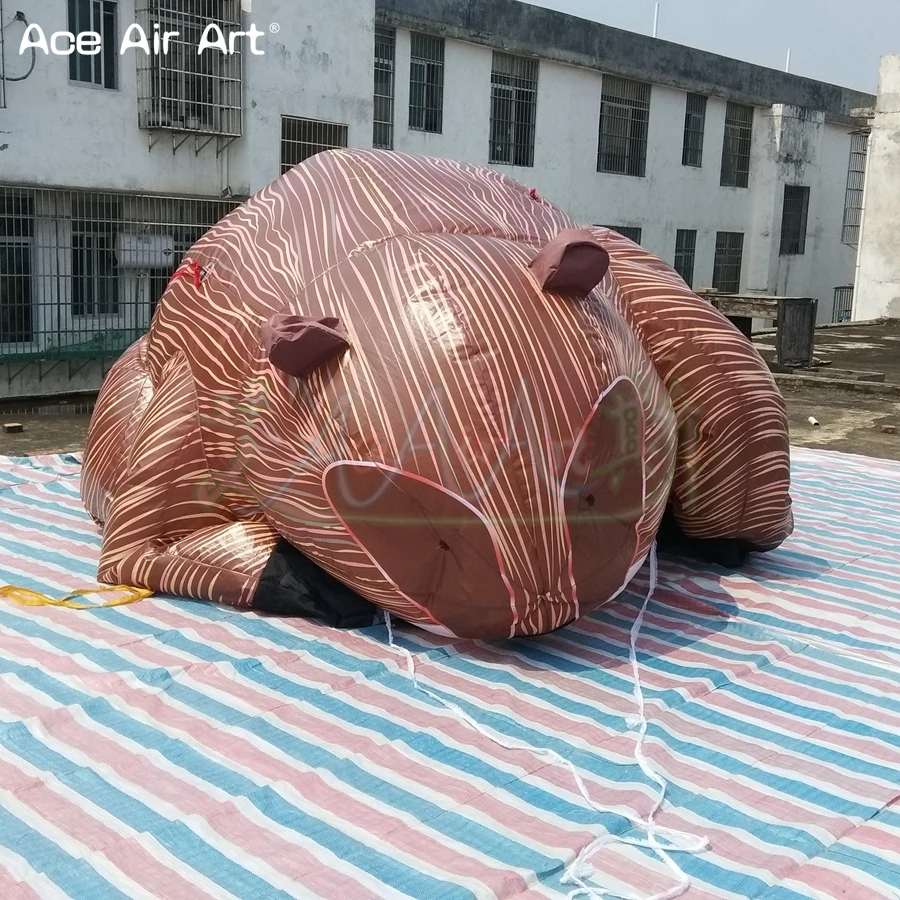 Популярный большой надувной бобер канадский талисман Надувное касторовое