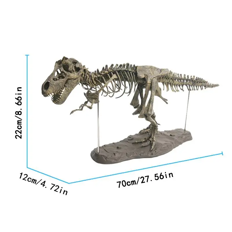 T Rex тираннозавр Рекса скелет динозавра Игрушечная модель животного коллектор супер Декор