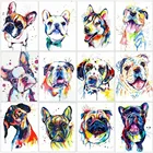 Картина по номерам Цветная собака рисунок на холсте Ручная роспись подарок картина по номерам животное комплекты, украшение для дома