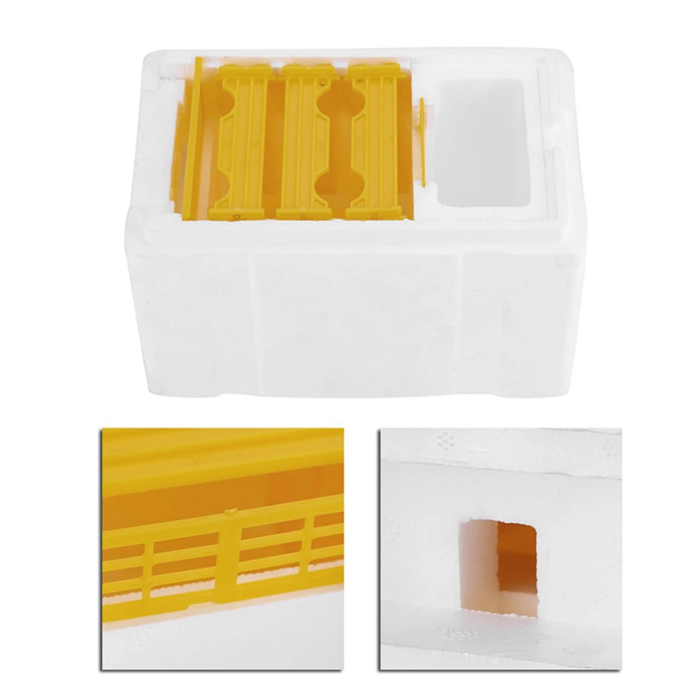 

Foam Bee Mating Box with Grid Warmkeeping Waterproof Queen Breeding Case 24.1x15x14.1cm Beekeeping Tools for Pollination DC120