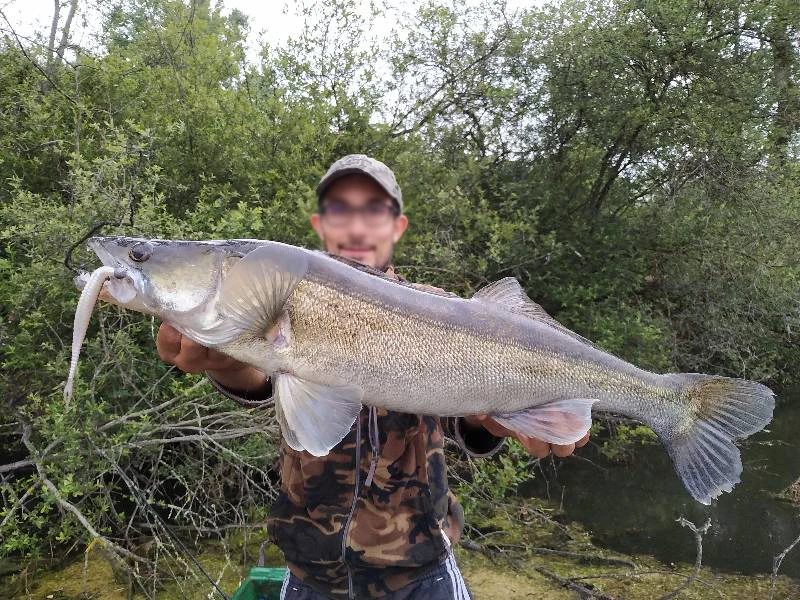 Рыболовная приманка KESFISHING Armor Shad 120 мм 6 шт. мягкие приманки рыболовные снасти для