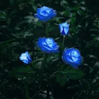 Цветочный светильник на солнечной батарее роза цветок лампа Светодиодная лампа на солнечной батарее для украшения сада Водонепроницаемый газонные лампы для открытого ландшафта для дворика