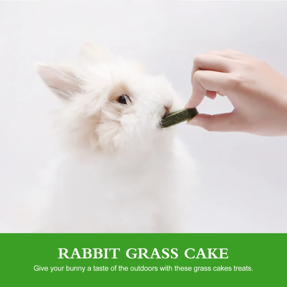 

10Pcs Molar Grass Cake Bunny Rabbit Treat Food Teething Activity Toys