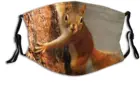 Маска для лица с изображением животных, маска для лица с изображением белки, Балаклава унисекс с фильтром, ветрозащитная, Пылезащитная, регулируемая