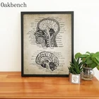 Анатомия головы человека и мозга, запатентованный постер, винтажная печать, неврология, Анатомия человека, настенные картины с врачами, украшение для офиса и дома