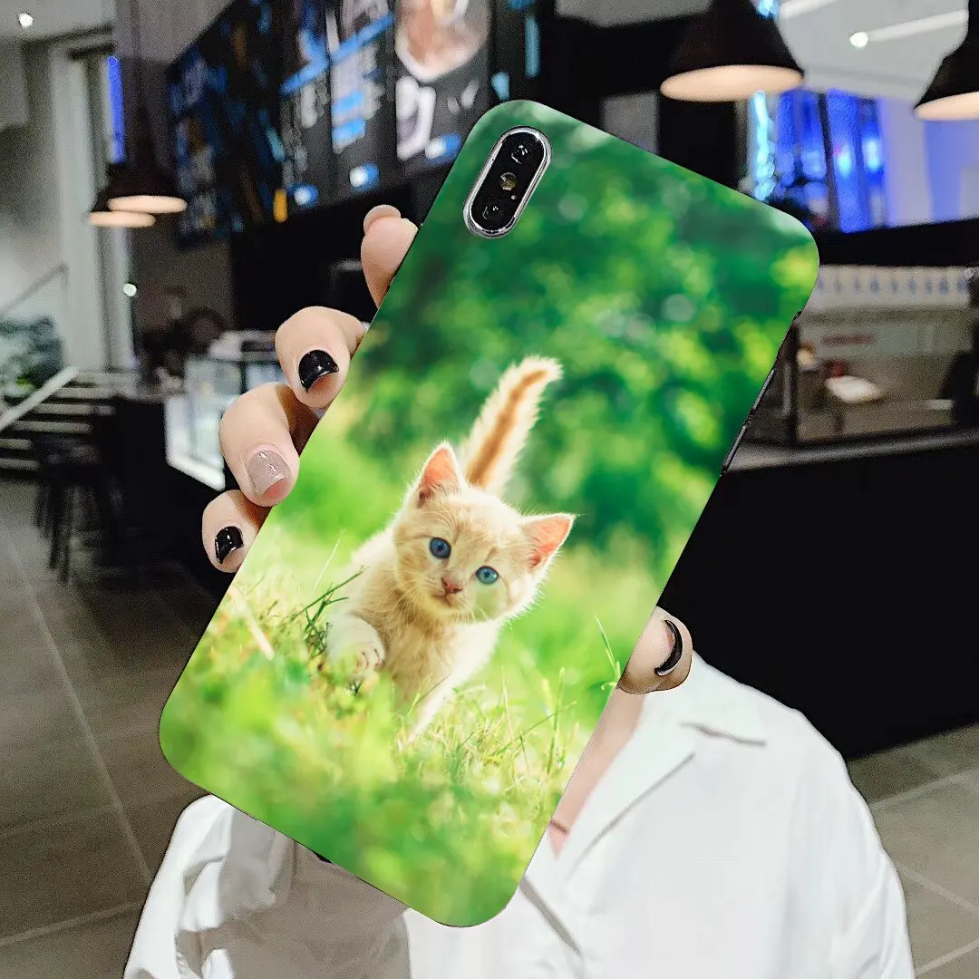 Мягкий чехол для Xiaomi Redmi 4A 7A S2 Note 8 3 3S 4 4X 5 Plus 6 7 6A Pro Pocophone F1 kitten funny cat|Бамперы| |