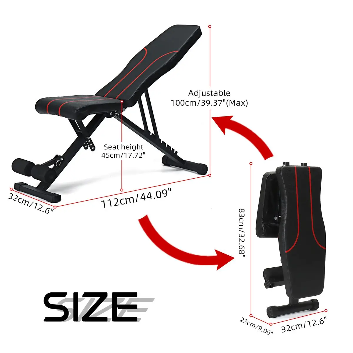 

Fitness & Body Building