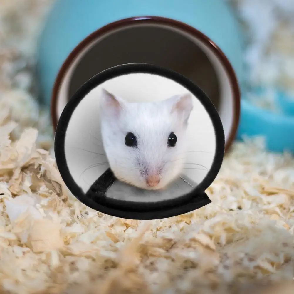 Защитный конус для шеи грызунов хомяков кроликов|Ошейники упряжки и поводки| |