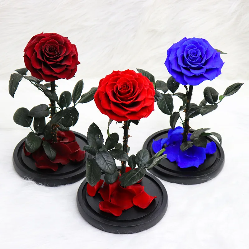 

Preserved Fleur Gift Box Glass Cover Handmade Rose For Dried Flowers Decoration Valentine's/Teacher's/Birthday/Dia De La Madre