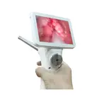 Визуальный эндоскоп для искусственного осеменения коров, пистолет для спермы с искусственным ИИ инструментами, набор для ветеринарного разведения лошадей, крупного рогатого скота с постоянным нагревом