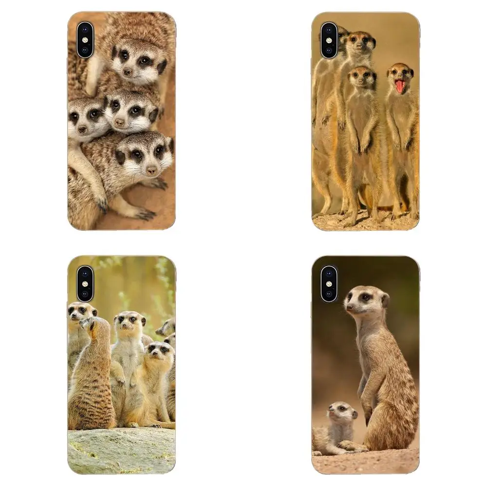 Мобильный телефон из мягкого ТПУ для Galaxy Alpha Note 10 Pro A10 A20 A20E A30 A40 A50 A60 A70 A80 A90 M10 M20 M30