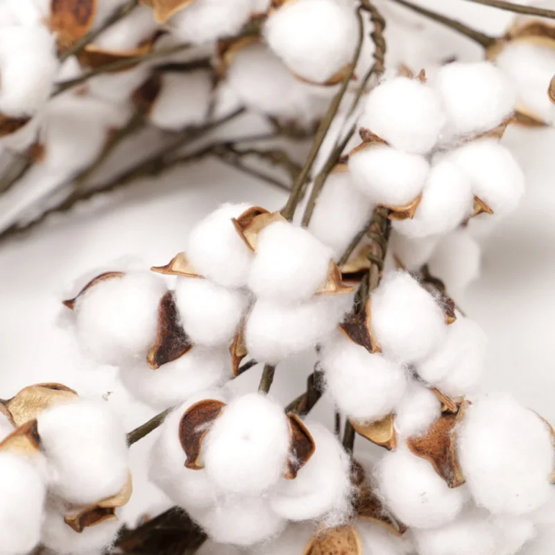 

Cotton Dry Flowers Wreath Party Festival Wedding Decoration Handmade Rattan Wreaths Decor Christmas Wreath Home Decor